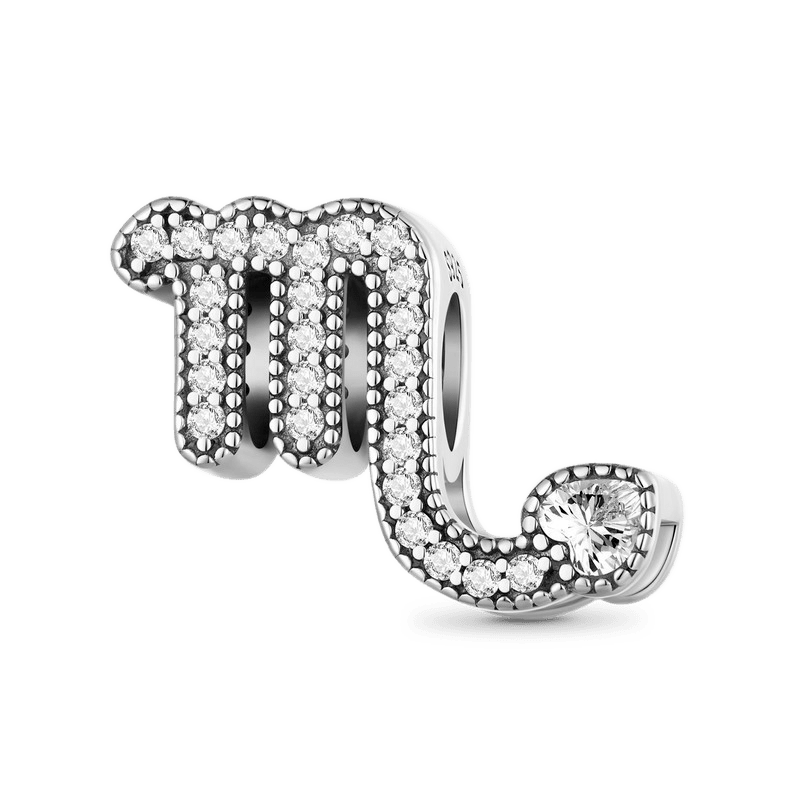 Zodiac Sign Lucky Charm image number 0