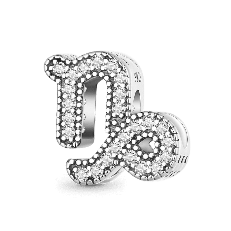 Zodiac Sign Lucky Charm image number 0