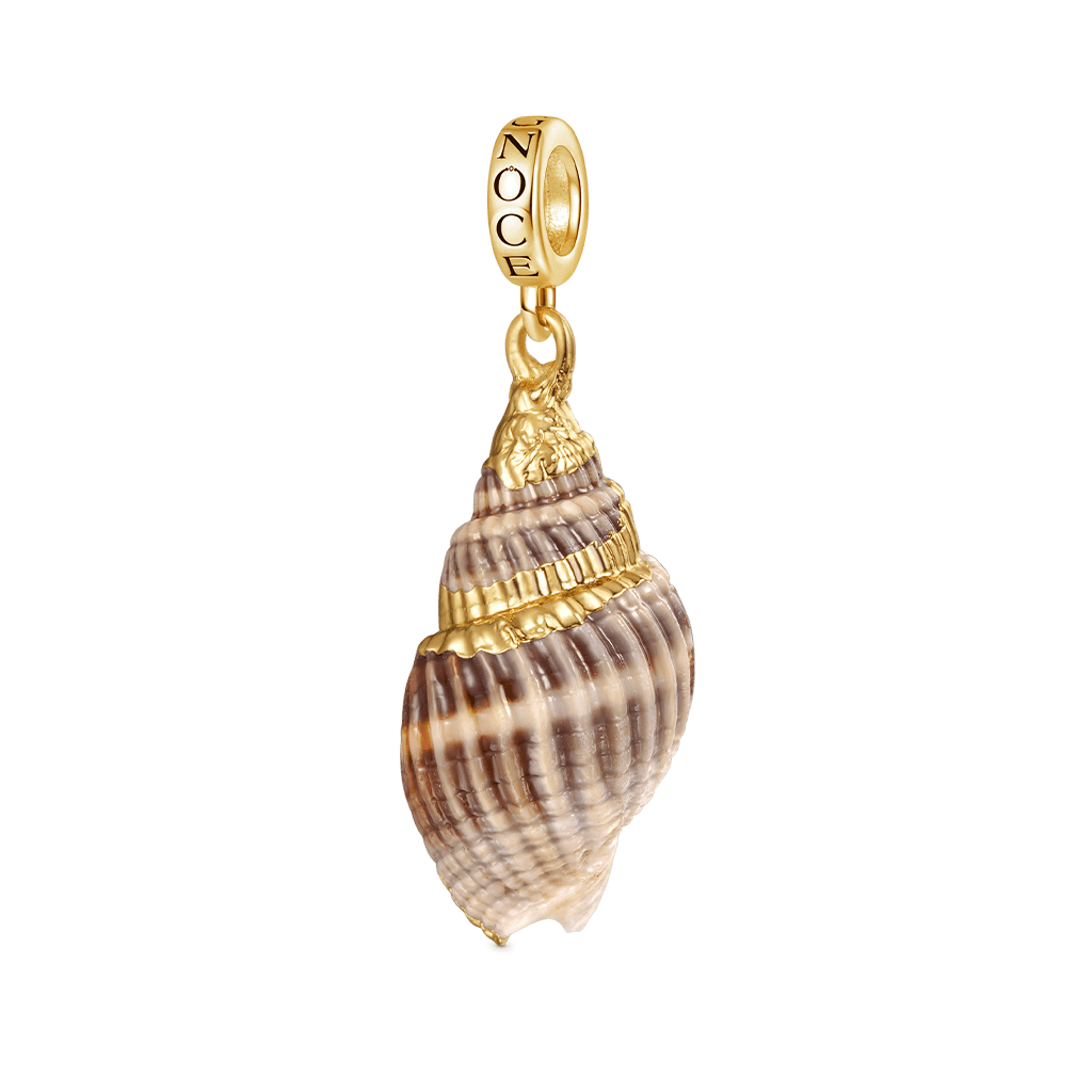 Natural Ocean Shell Pendant image number 0