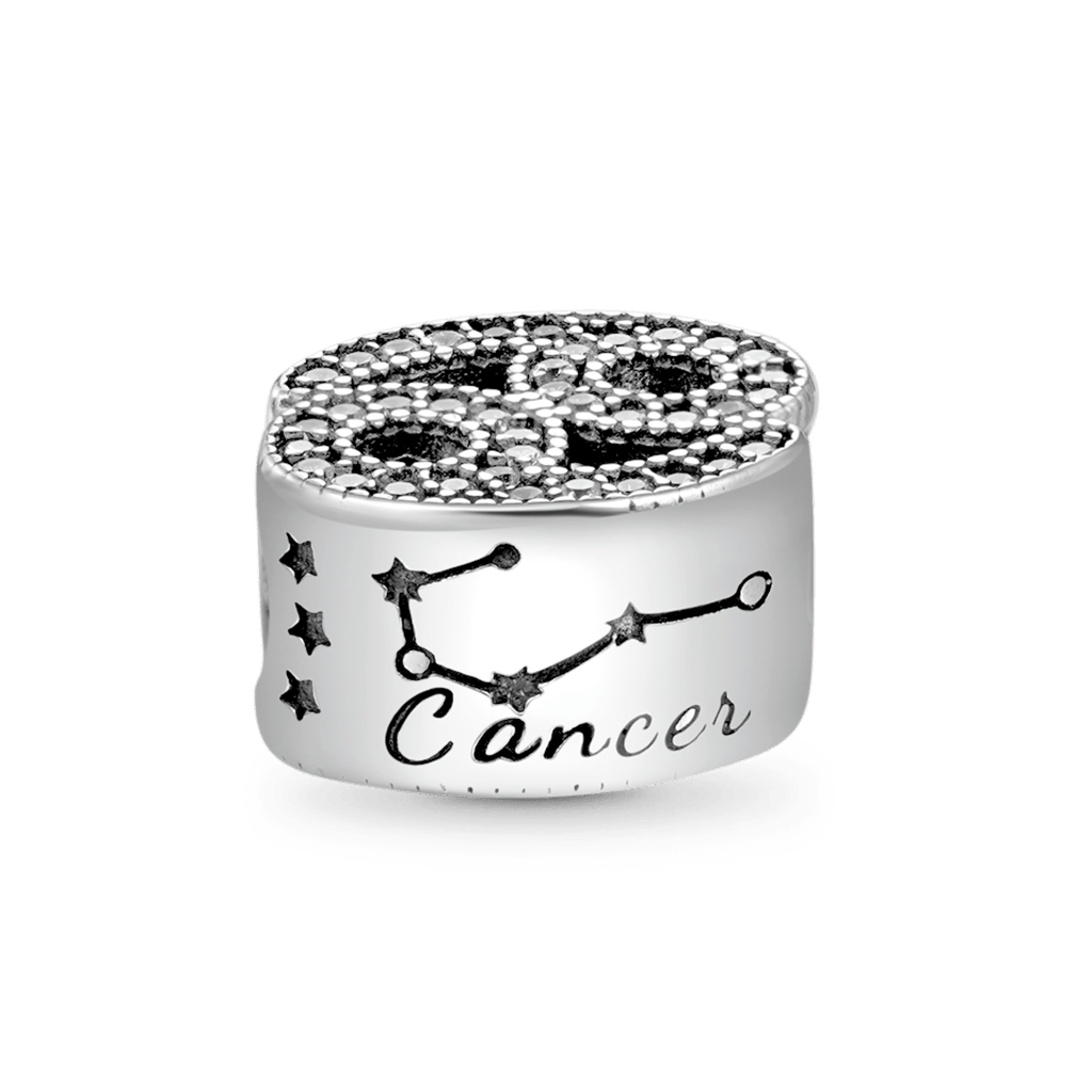 Zodiac Sign Lucky Charm image number 1