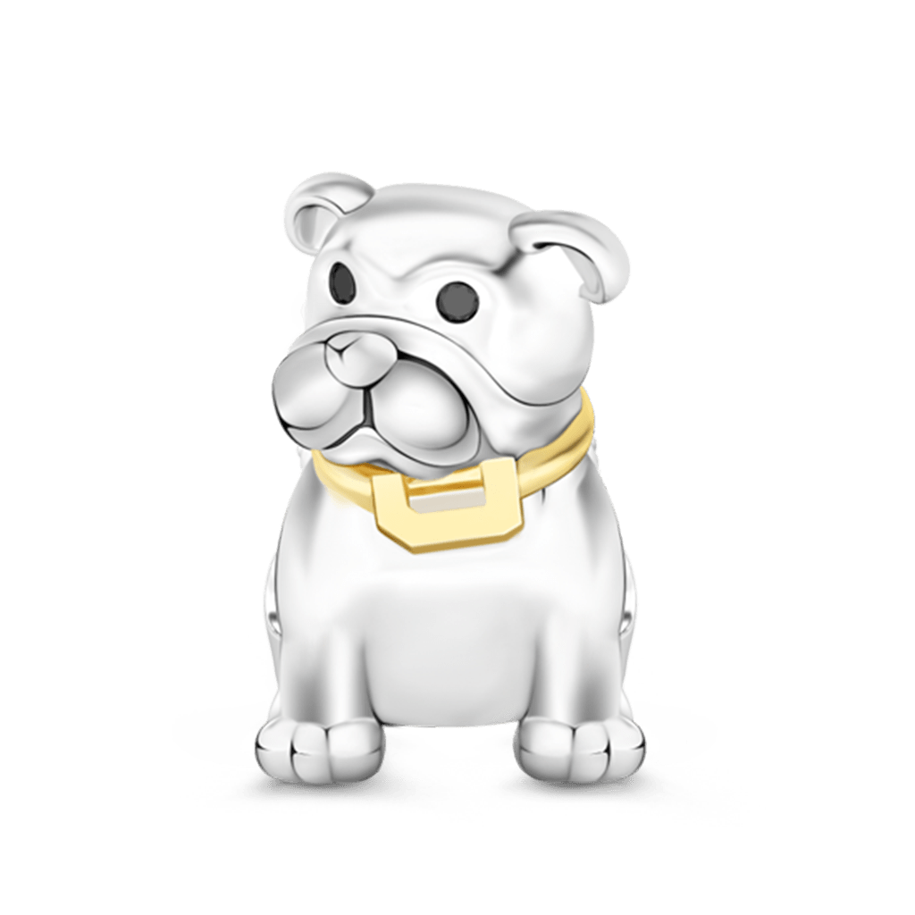 Handsome Bulldog image number 0