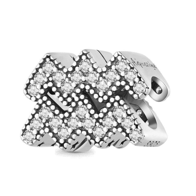 Zodiac Sign Lucky Charm image number 0