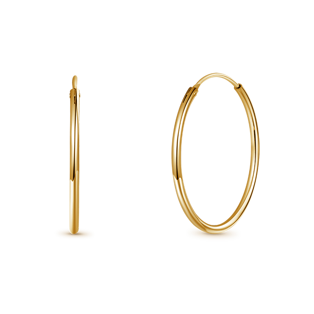 Large Hoops Earrings image number 2