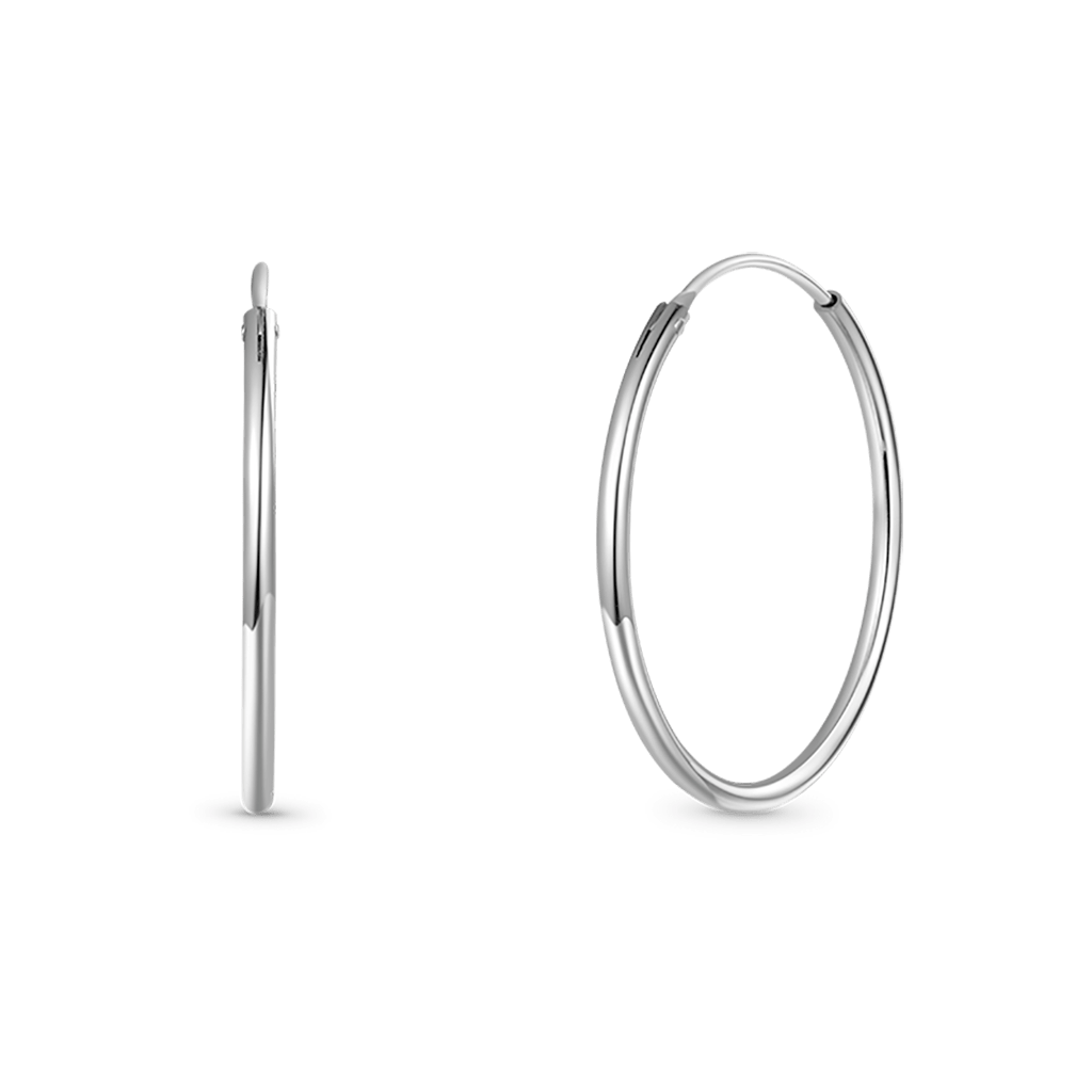 Large Hoops Earrings image number 1