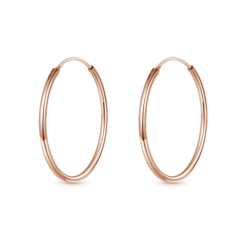 Large Hoops Earrings image number 0