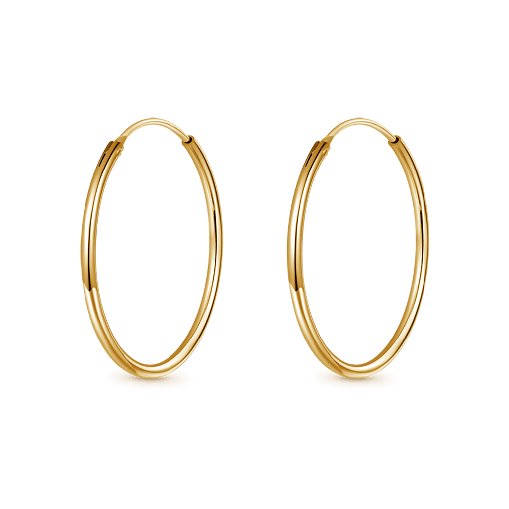 Large Hoops Earrings image number 0