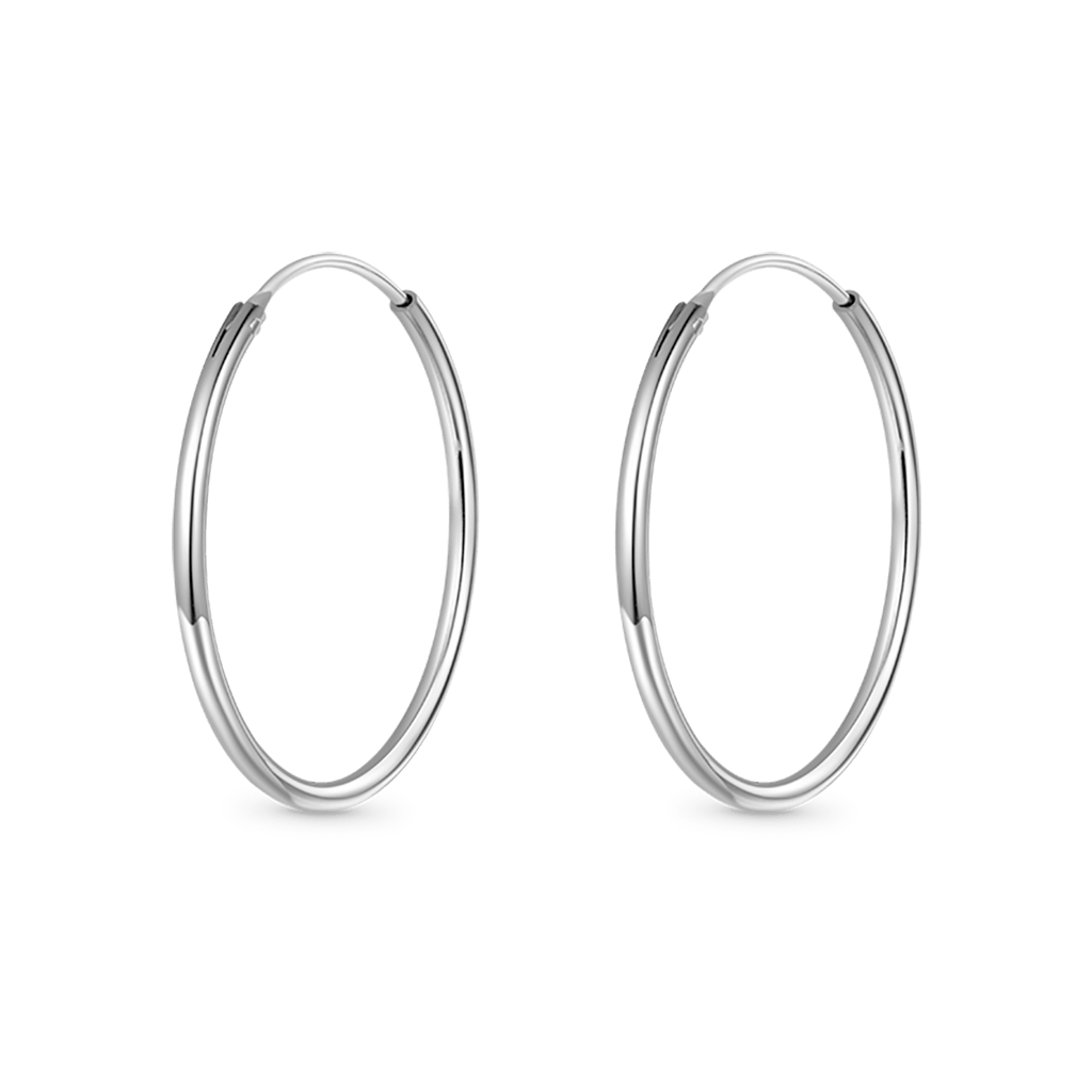 Large Hoops Earrings image number 0