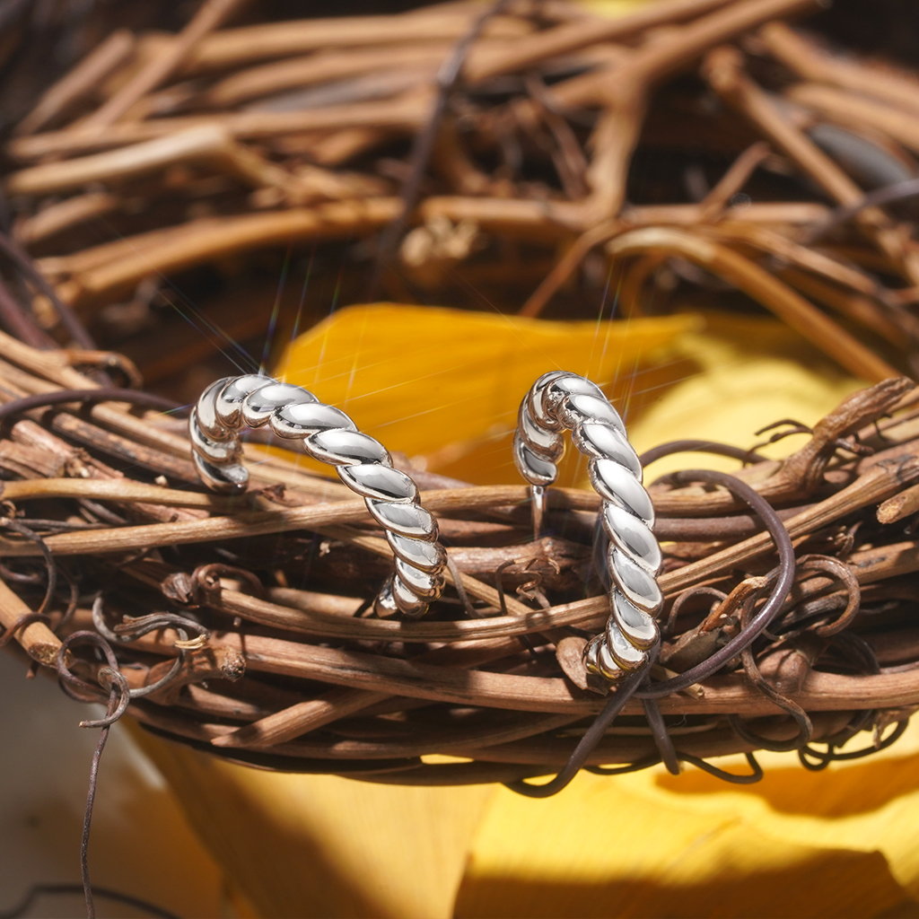 Twisted Rope Hoop Earrings image number 3