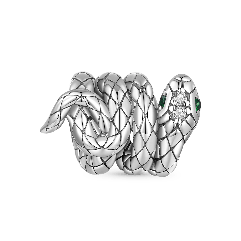 Coiled Snake Charm image number 0