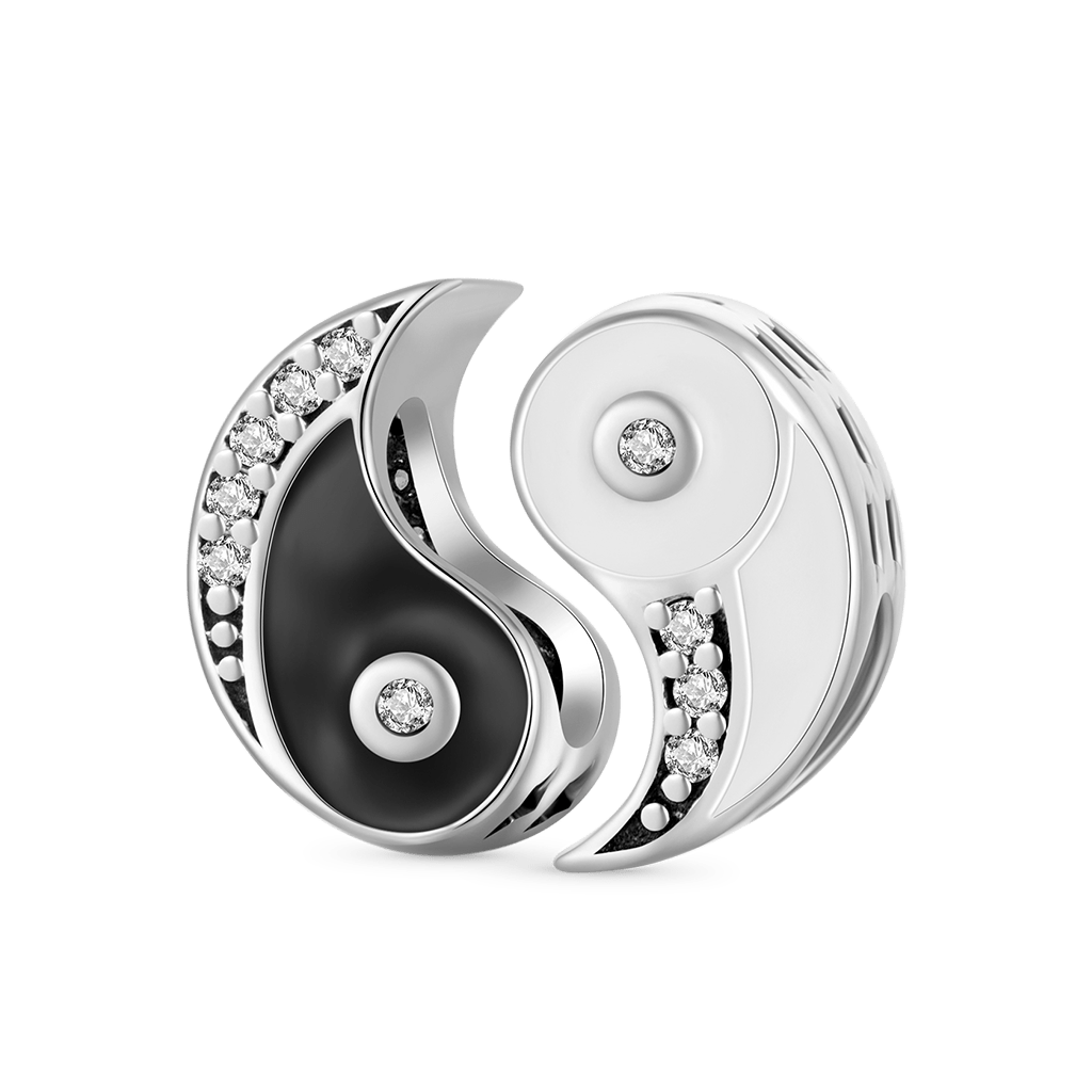 Tai Chi Double Charm image number 0