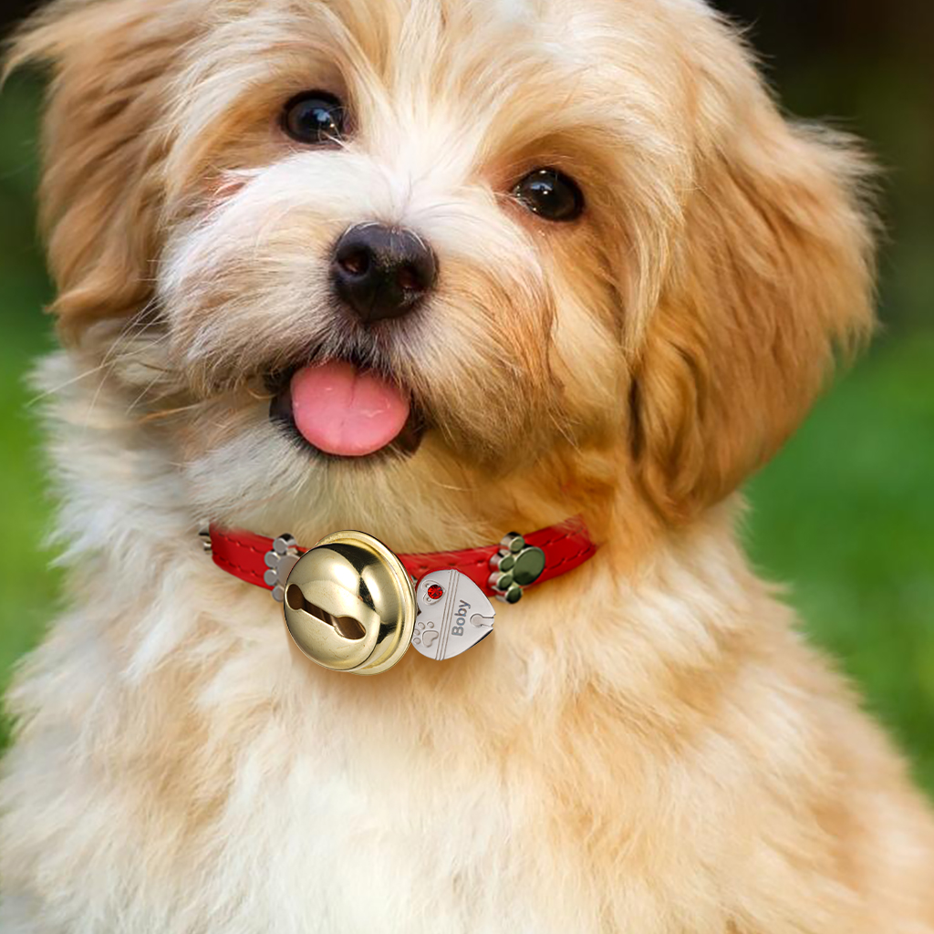 Heart Pet Tag Bell & Flame Red Collar image number 5
