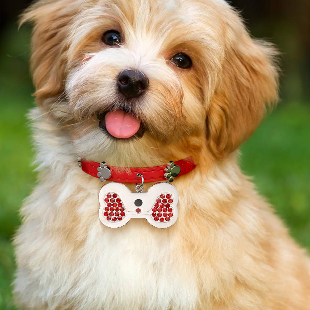 Dog Bone Pet Tag & Collar Anti-Lost image number 5