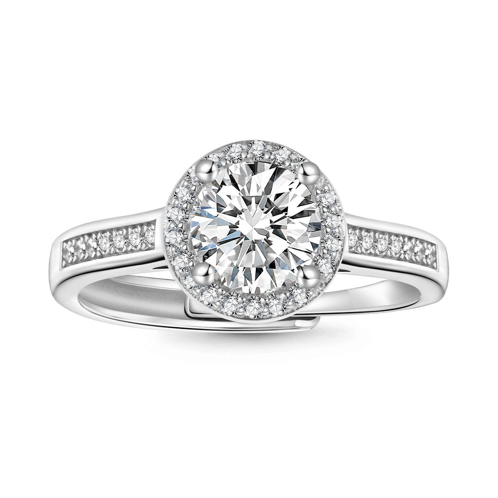 Shiny Round Halo VVS Moissanite Ring image number 0