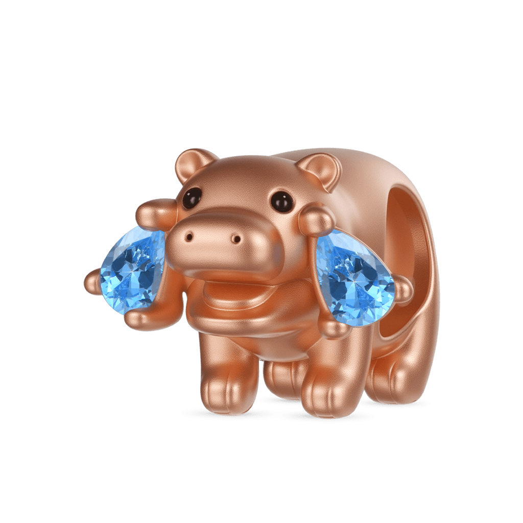 Hippo Charm image number 0