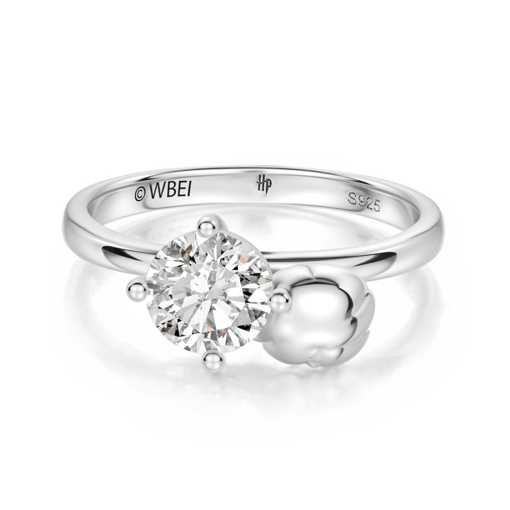 Ron Weasley Embraces Ring image number 2