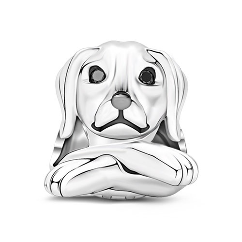 Obedient Dog image number 0