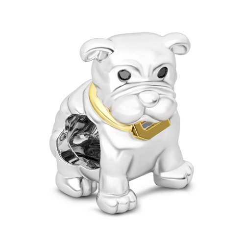 Handsome Bulldog image number 1