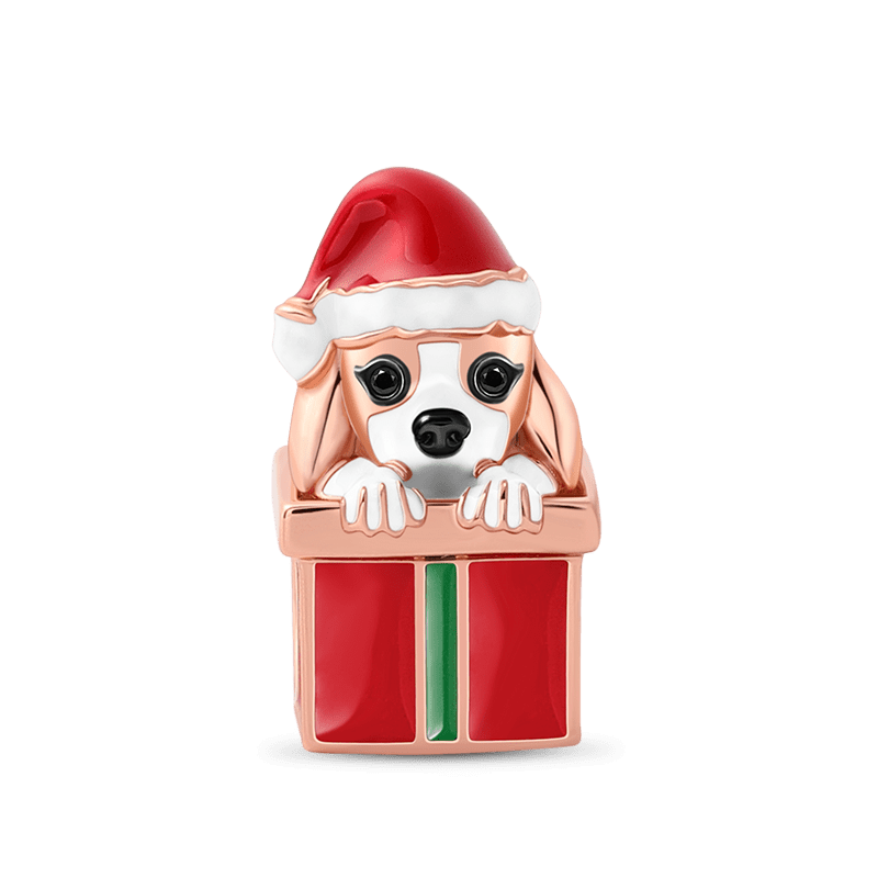 Dog with Gift Box image number 0