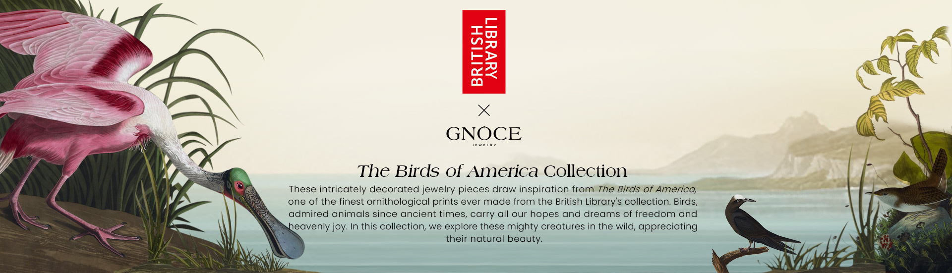 the-birds-of-america