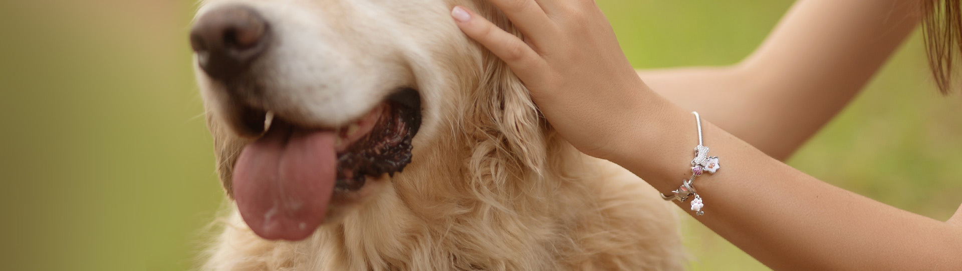 Tenderness for Pets Collection