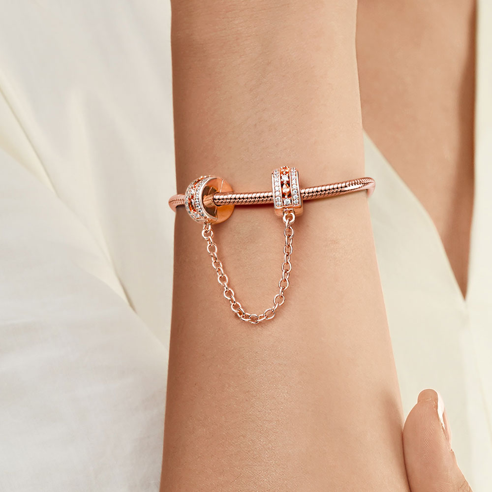 ベーシックセーフティチェーン image number 4