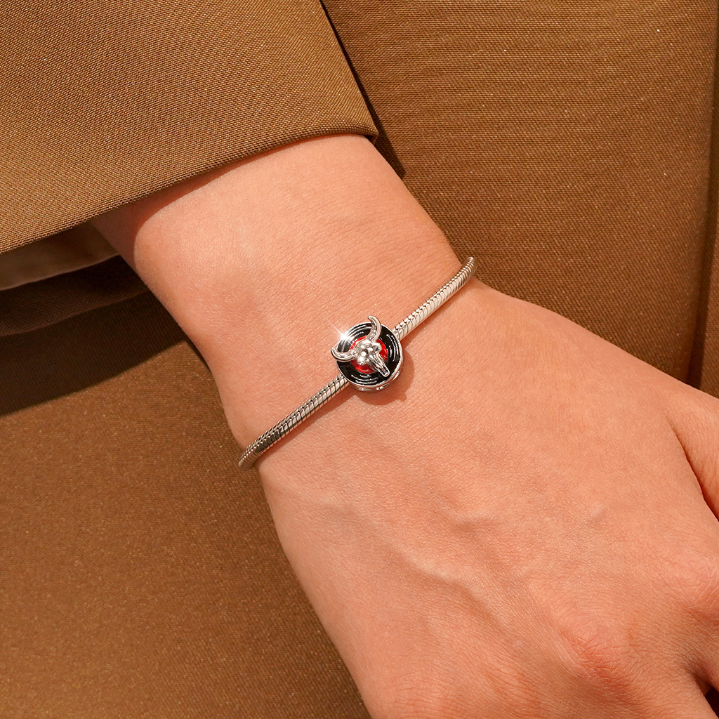 牛の頭蓋骨のレコードチャーム image number 4