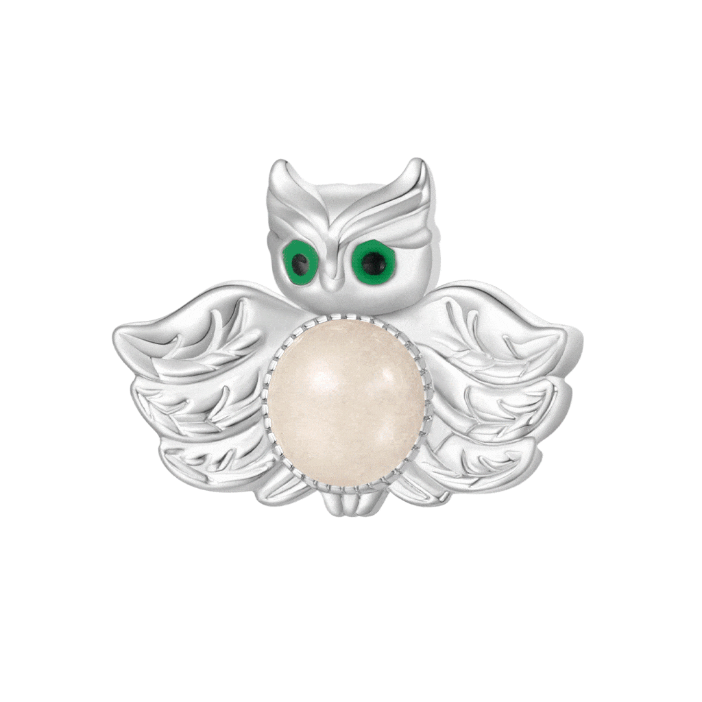 フクロウチャーム image number 0