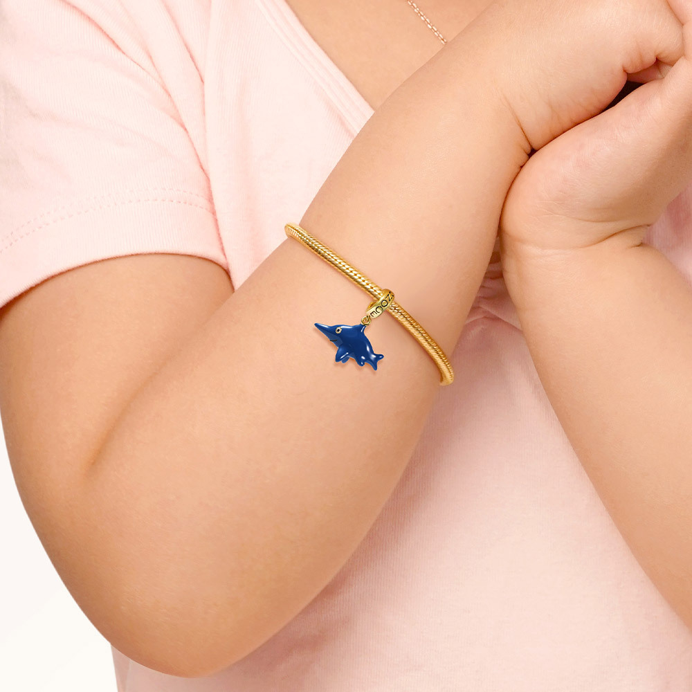 イクチオサウルスチャーム image number 5