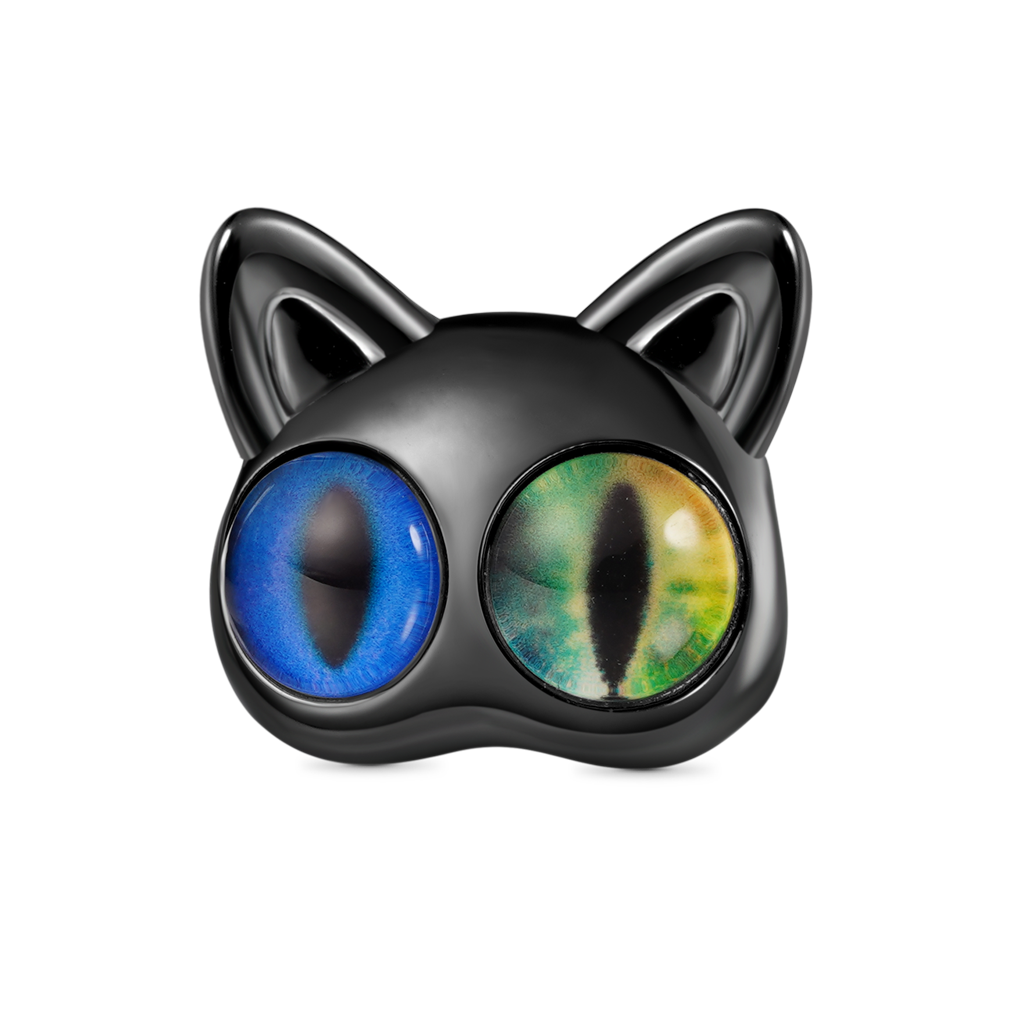 黒猫チャーム image number 0