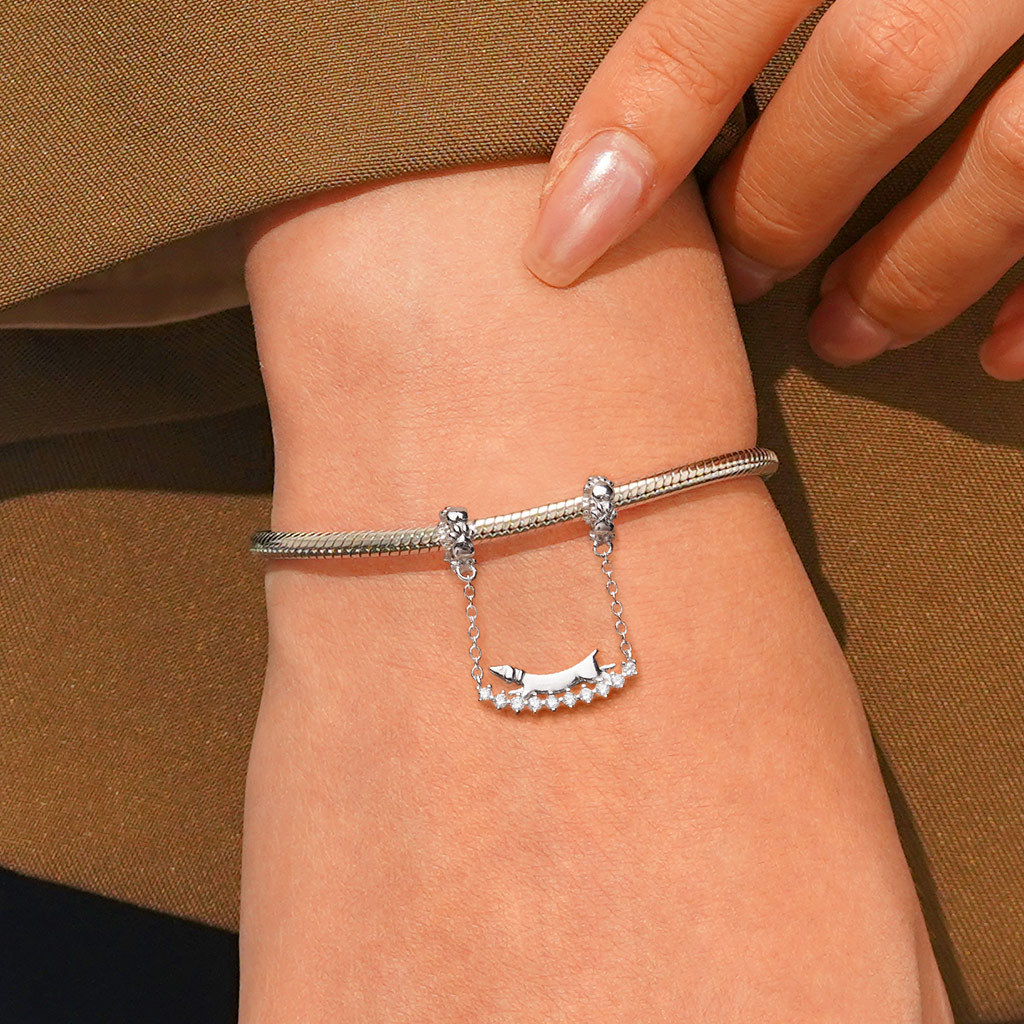 ダックスフンドセーフティチェーン image number 4