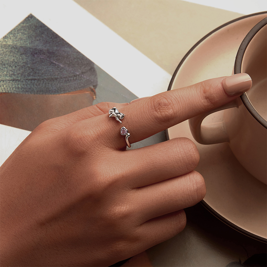 猫と子猫のペットバンドリング image number 4