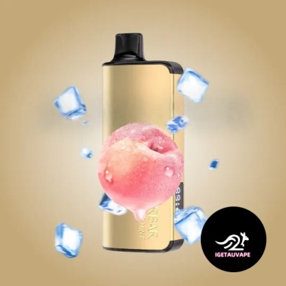 ALIBARBAR INGOT Peach lce Alibarbar ingot 9000 PUFFS