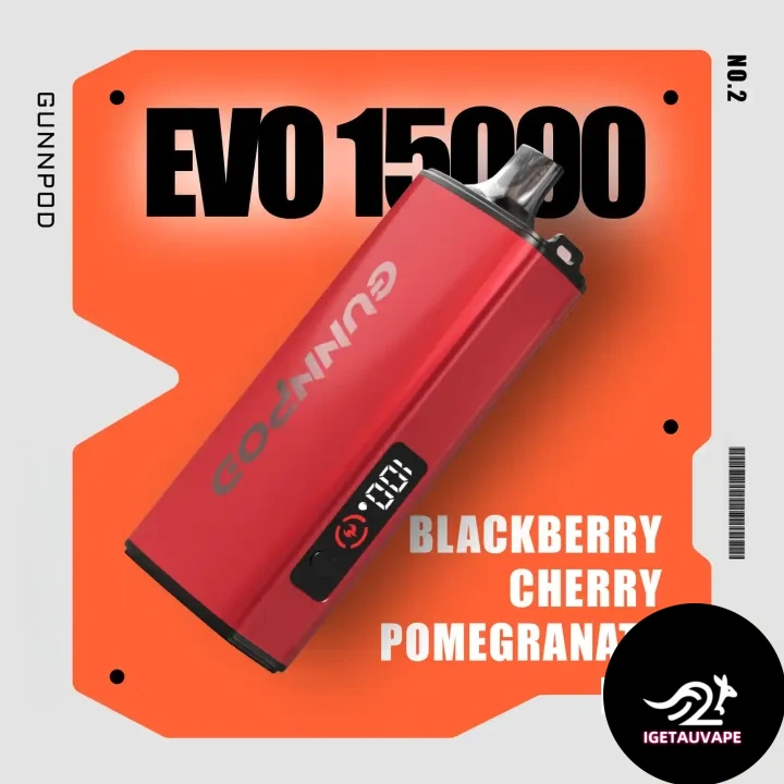 Blackberry Cherry Pomegranate Ice Gunnpod Evo