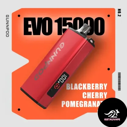 Blackberry Cherry Pomegranate Ice Gunnpod Evo