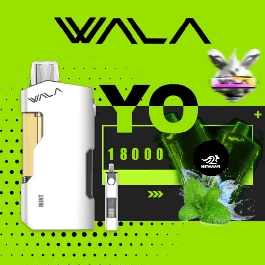 Mint WALA YO 18000