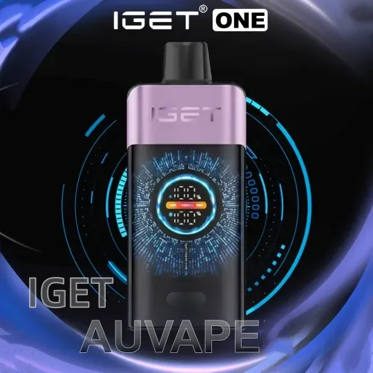 Mixed Berries Ice IGET ONE