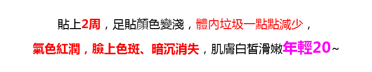 民生堂中藥艾草穴位足貼a04012724ee90220b926b1a3978c0420.jpg