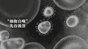 1681786777571114.gif 1667545721453897.gif