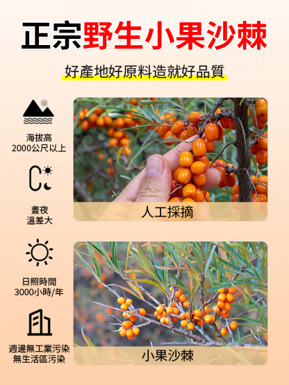 沙棘籽油護眼軟膠囊🔥黑科技问世，一招恢复视力5.0