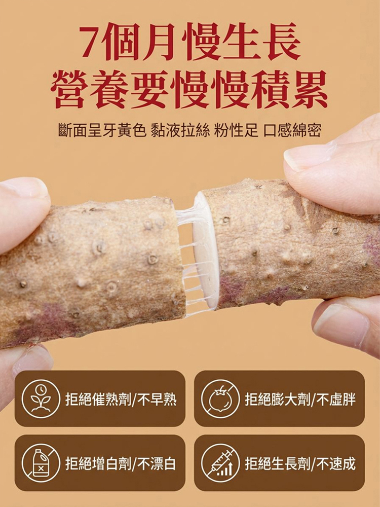 黑金鐵根山藥珍粉🔥腸胃救星！