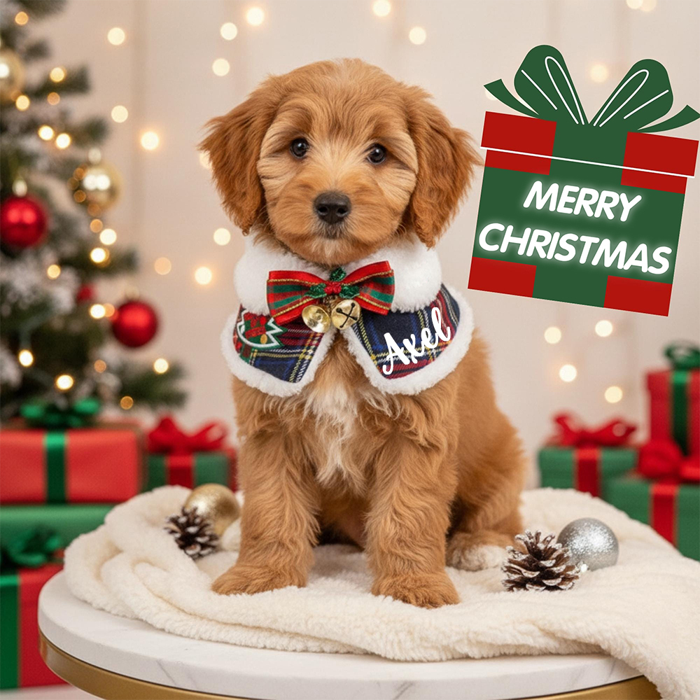 Custom Name Pet Scarf With Plush Collar, Pet Christmas Capes, Cat And Dog Neck Warmers, Christmas Gift For Pet Lovers