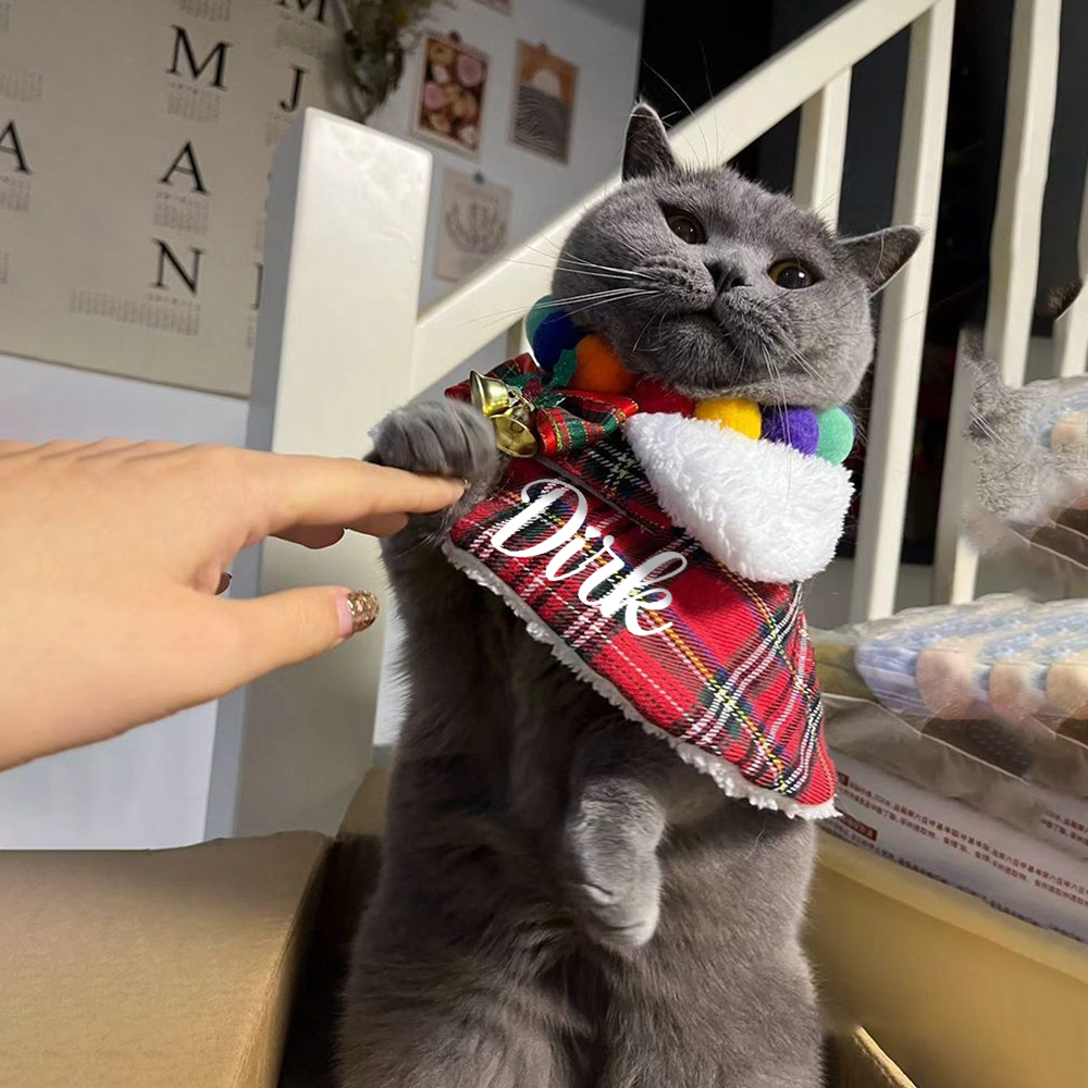 Custom Name Pet Scarf With Plush Collar, Pet Christmas Capes, Cat And Dog Neck Warmers, Christmas Gift For Pet Lovers