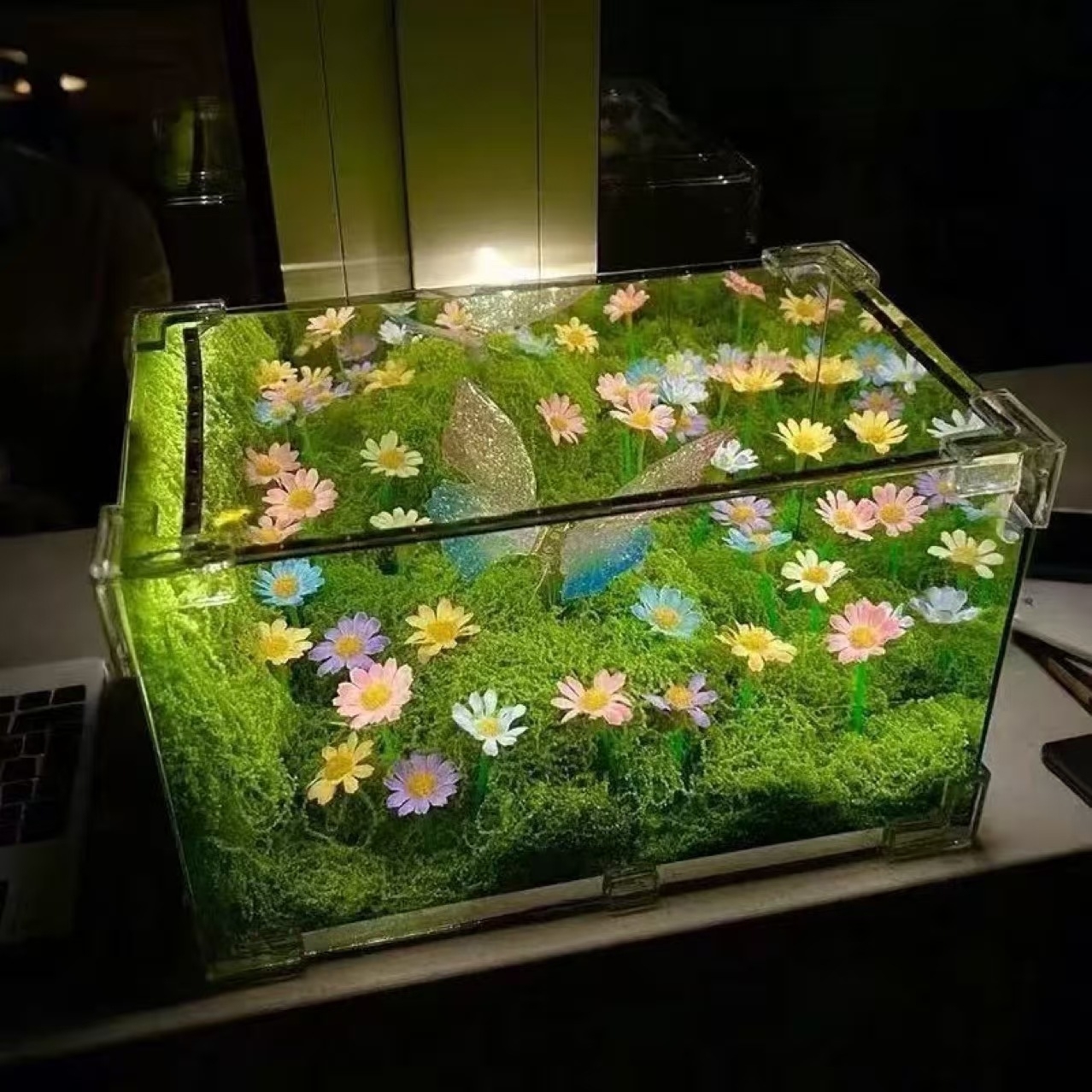 Butterfly Forest Night Light DIY Kit Handmade Ambient Bedroom Lamp, Romantic Gift for Girlfriend - MyHawaiianShirts