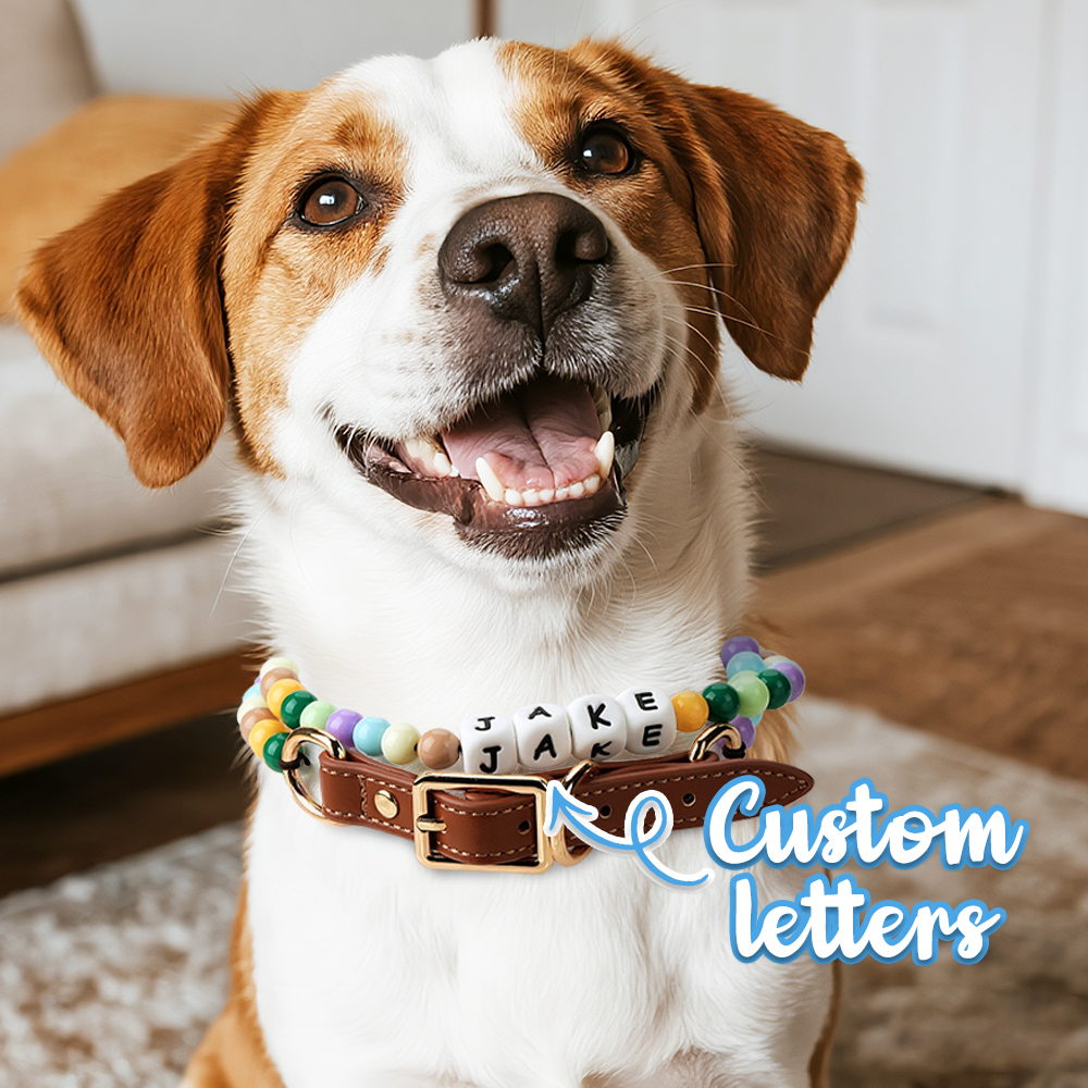 Personalized Pet Dog Cat Name Beaded Collar Adjustable Buckle Custom Pet Necklace Gift For Pet Lovers