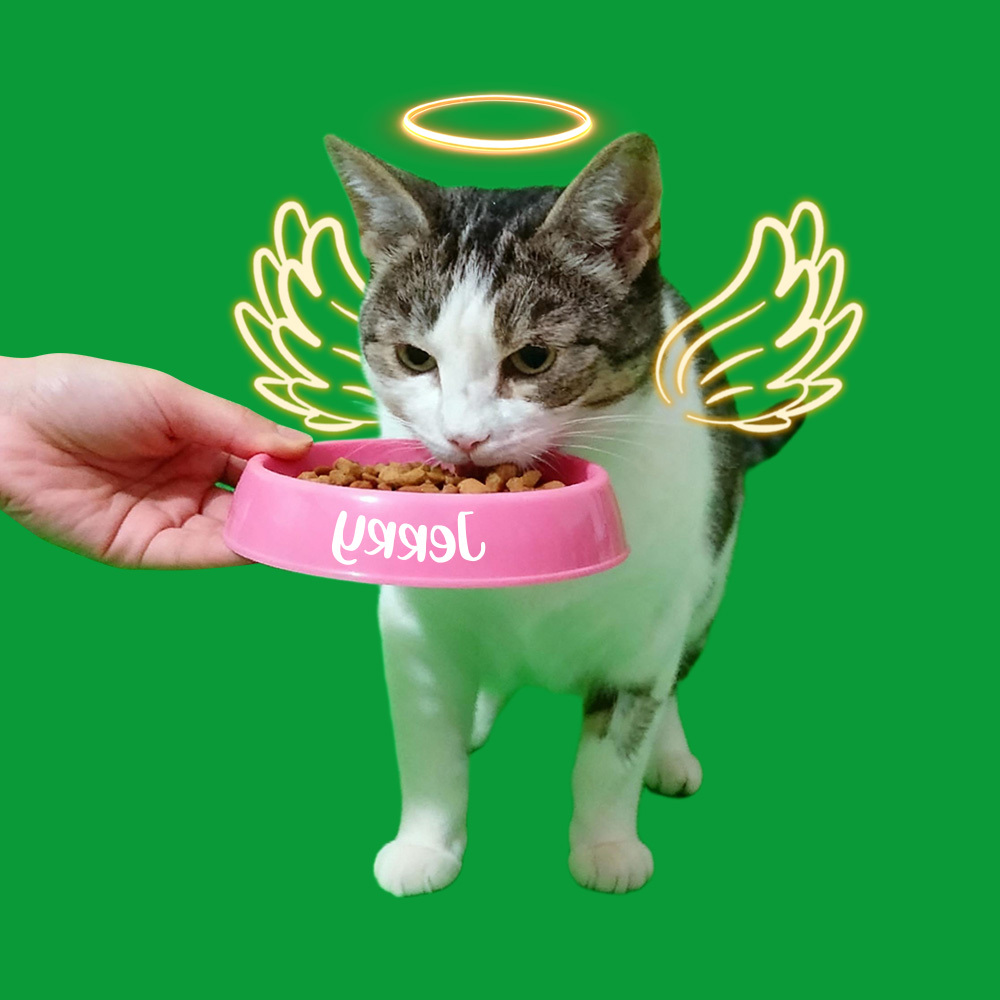 Halo Wings Feeding Scenes(40s/60s included)