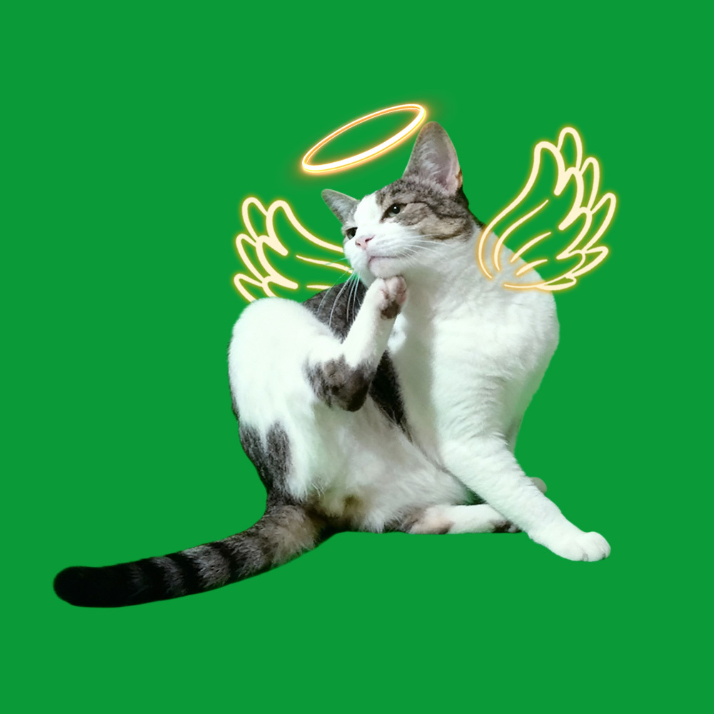 Halo Wings Scratching Scenes