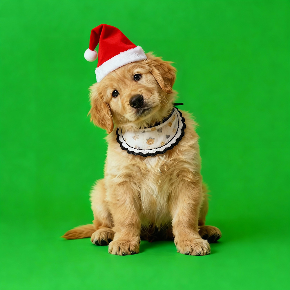 Christmas Holographic Digital Sences For Pet Holographic Digital House(Only Digital Sences Video by E-mail; Pet House Need to be purchased separately)