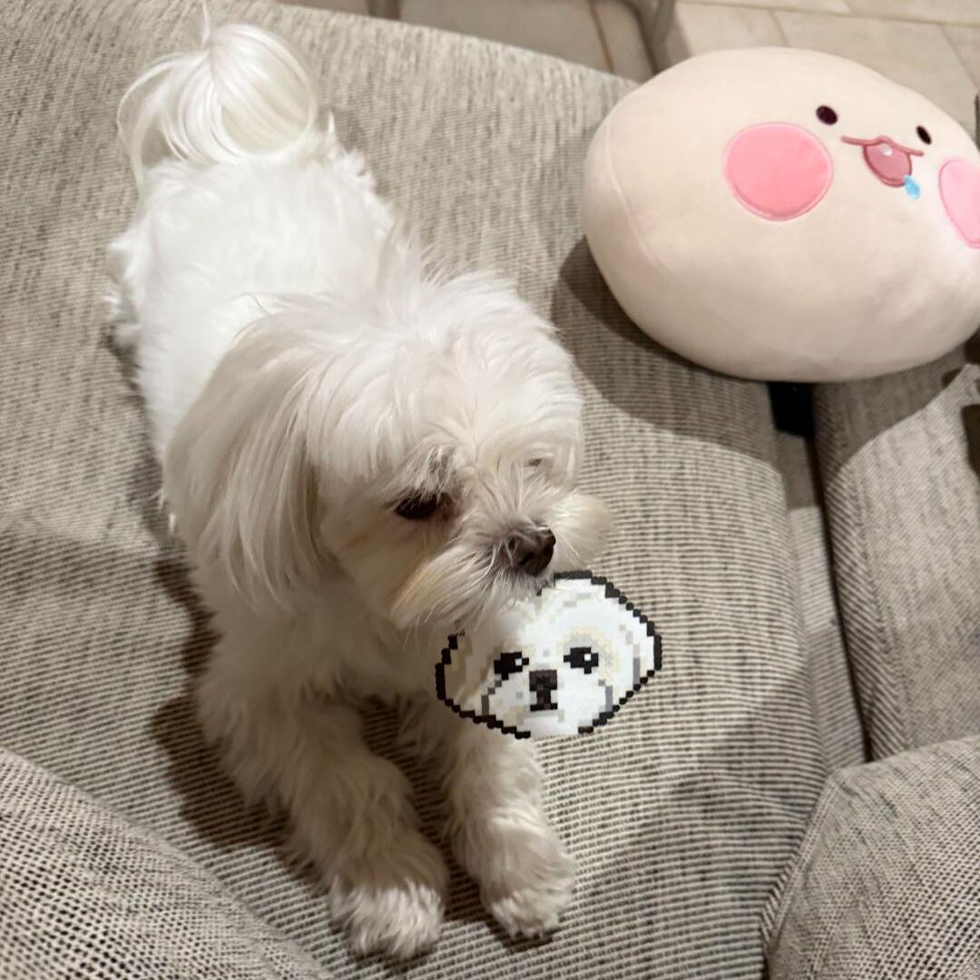 Customized Photo Pixel Puzzle Picture Bean Set Diy Material Package