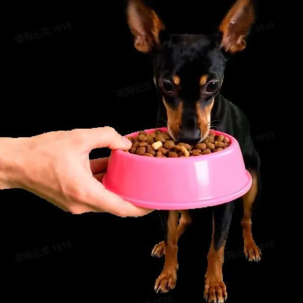 3D Pet Holo House Lumina Boxes Custom Pet Memorial Display Crystal-Clear Hologram Image - CustWitAU