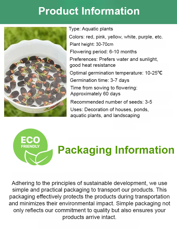 【Natural Air Purifier】 Certified organic in the US and Europe, it purifies 99.9% of PM2.5, formaldehyde, and harmful substances in the air. After blooming, it's more luxurious than French perfume and can reduce anxiety by 90%